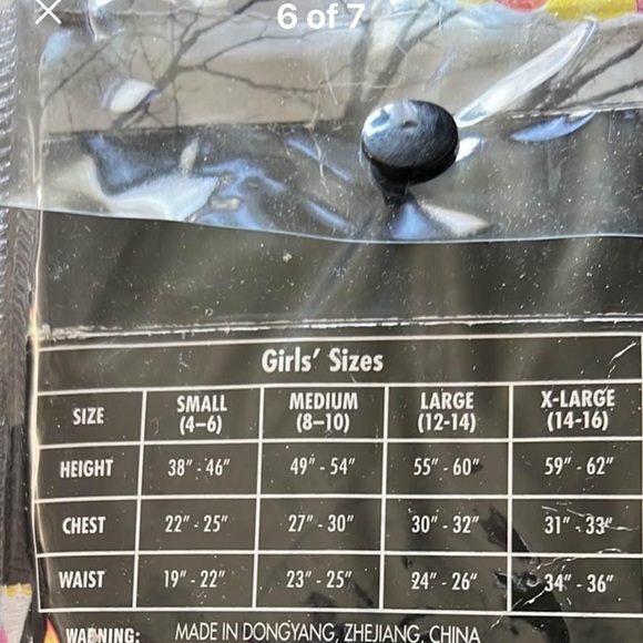 Girls Size Large 12-14 Day of the Dead Costume New Old Stock Spirit Halloween - Picture 5 of 7